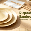 Disposable Bamboo Plates: The Premium Eco‑Friendly Choice for USA Partnerships