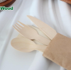 2026 Recommended: Top 10 Leading Disposable Birchwood Cutlery Set Companies in Dalian