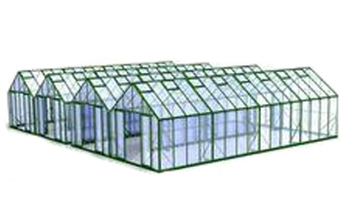 Venlo Type Greenhouse