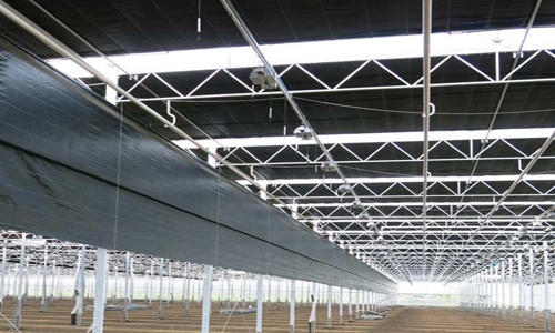 Venlo Type Greenhouse