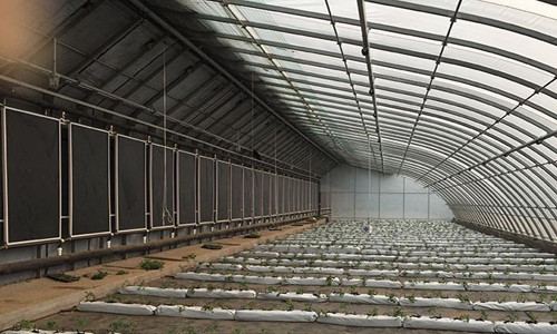 Energy-saving solar greenhouse