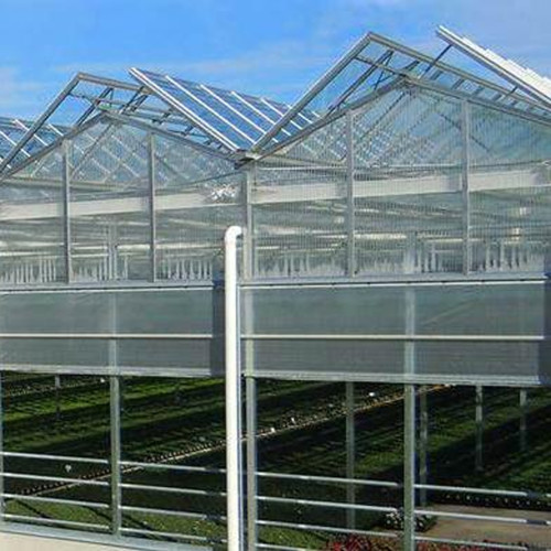 Tunnel greenhouse Single-span greenhouses For Agricultural Greenhouse