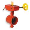 UL/ FM Gear Operated Lug Butterfly Valve Distributor