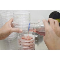 Laboratory Vertical Steam Sterilizers for Liquids | VSM-60/80/100L