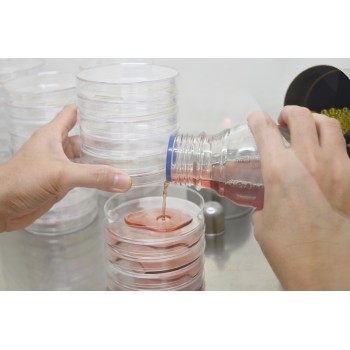 Laboratory Vertical Steam Sterilizers for Liquids | VSM-60/80/100L