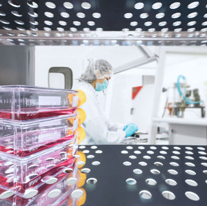 Cell Culture CO2 Incubator