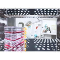 Cell Culture CO2 Incubator