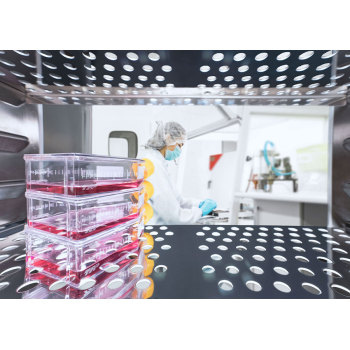 Cell Culture CO2 Incubator