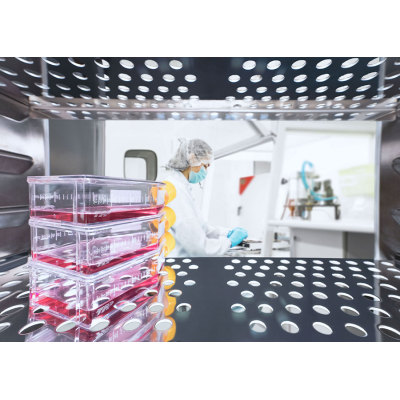 Cell Culture CO2 Incubator