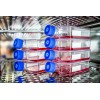 Laboratory Cell Culture CO2 Incubator