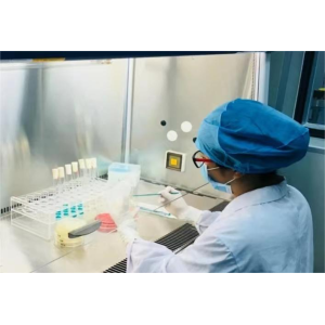 Vertical Laminar Flow Cabinet 1720A | Clean Bench | ISO 5