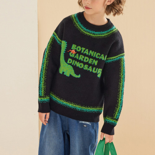 Custom Kids Funny Dinosaur Pattern Sweater | Casual Loose Sport Top | Streetwear Hip Hop Pullover Sweatshirt