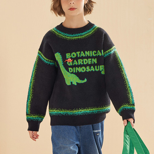 Custom Kids Funny Dinosaur Pattern Sweater | Casual Loose Sport Top | Streetwear Hip Hop Pullover Sweatshirt
