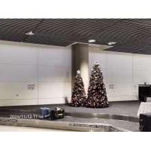 Sina Lee and Team Arrive in Australia for Client Visits and Expo