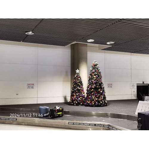 Sina Lee and Team Arrive in Australia for Client Visits and Expo