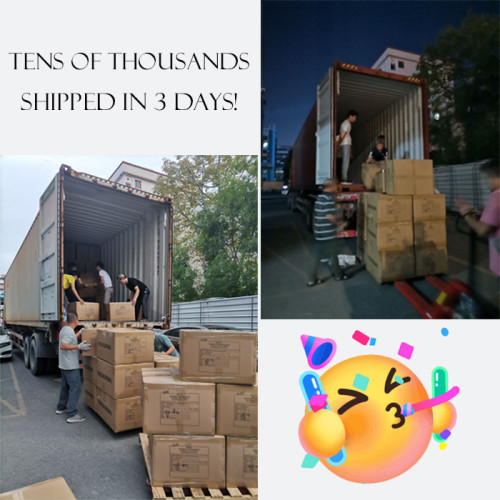 Amazing Speed: Tens of Thousands Shipped in 3 Days!