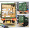 1-Hour Miracle: How We Crushed a 20GP Shipment!