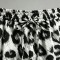 Leopard Cropped Pants | Elastic Waist Drawstring | Cotton Blend | Casual Streetwear | OEM Streetwear
