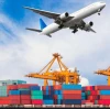Professional Packaging and Shipping Services