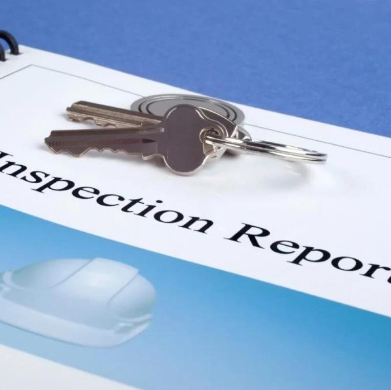 China Inspection Service