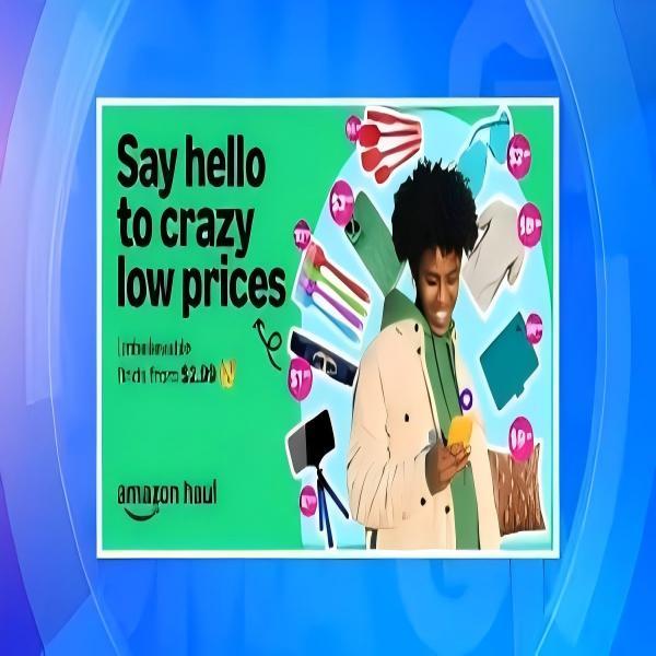 Tout sur Amazon Haul : un guide complet pour les vendeurs Amazon.