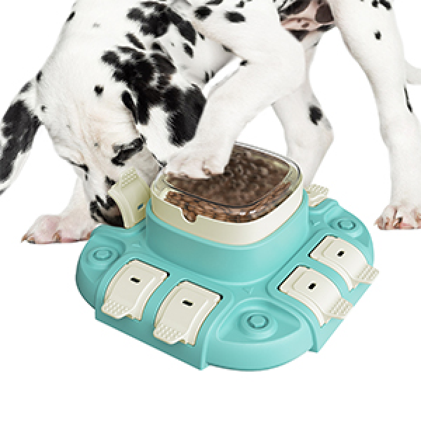 Neues Hundespielzeug im Großhandel: Top 5 Picks für Juli 2024 für Einzelhandel und E-Commerce