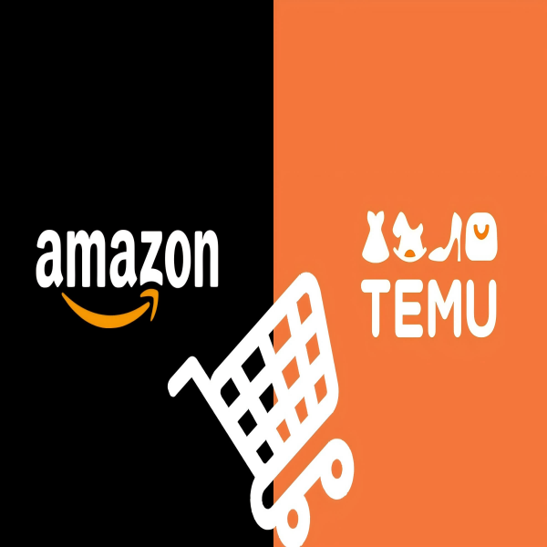 Case Study Merchant Perspectives: Amazon Sellers Selling on Temu