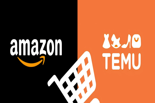 Case Study Merchant Perspectives: Amazon Sellers Selling on Temu