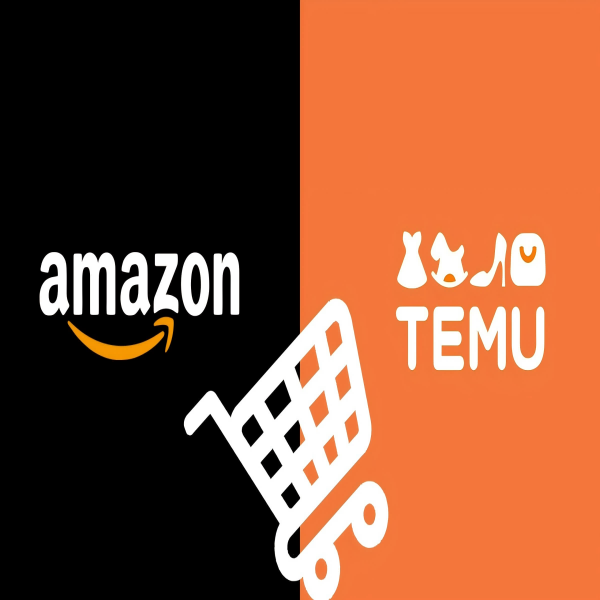 Étude de cas Perspectives des commerçants : vendeurs Amazon vendant sur Temu