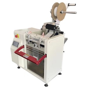 AutoBag Machine/ Auto Bagger With Labeler /Auto Bag Machine /Labeling and Bagging Solutions/Auto Bagging Machine