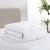 Down Alternative Comforter Diamond 10% Duck Down Duvet Light Weight Spring & Autumn Quilt
