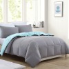 500T Bicolor Goose Down Winter Duvet 75% White Goose Down Warm Winter Duvet Comforters