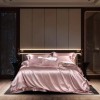 Luxury 25mm Mulberry Silk Comforter Smooth Soft Custom 10% Goose Down Quilt Multi-color for Home