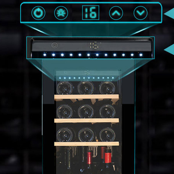 What color of the LED light in the wine cooler can be option?