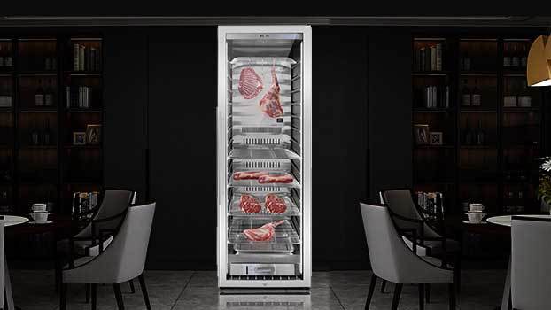 dry ager meat refrigerator