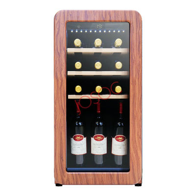 Retro Wine Fridge Factory Direct Supply 14