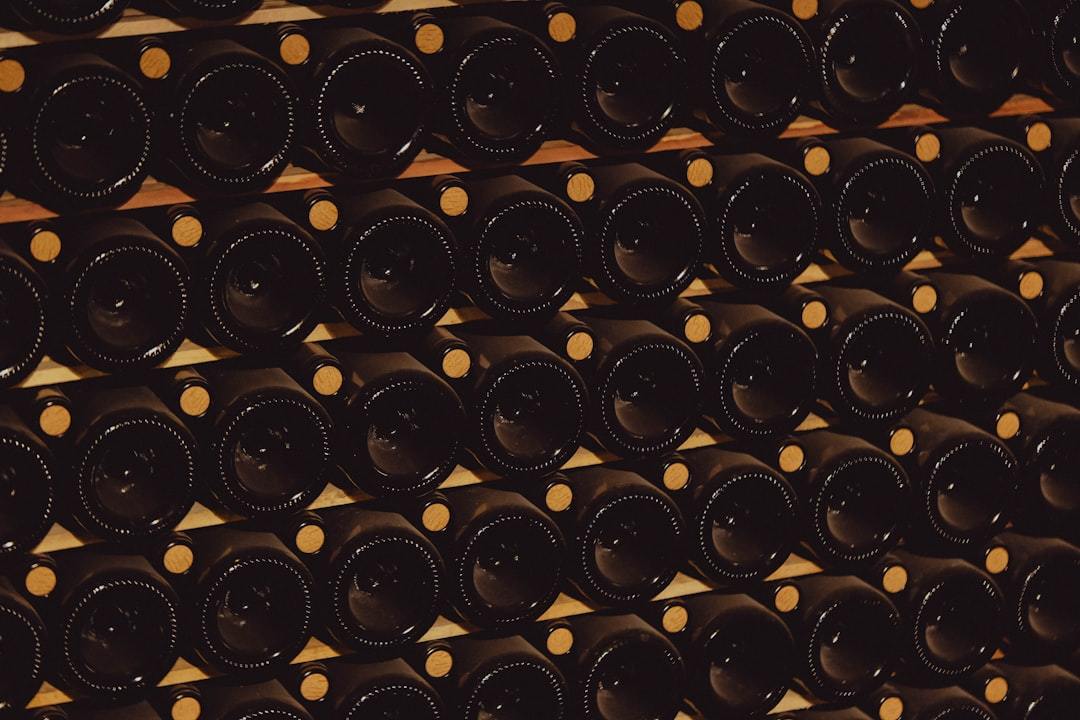 The Guardian of the Grape: Why Humidity Control is the Secret to Perfect Wine in Your Home Cooler