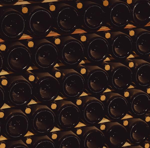 The Guardian of the Grape: Why Humidity Control is the Secret to Perfect Wine in Your Home Cooler