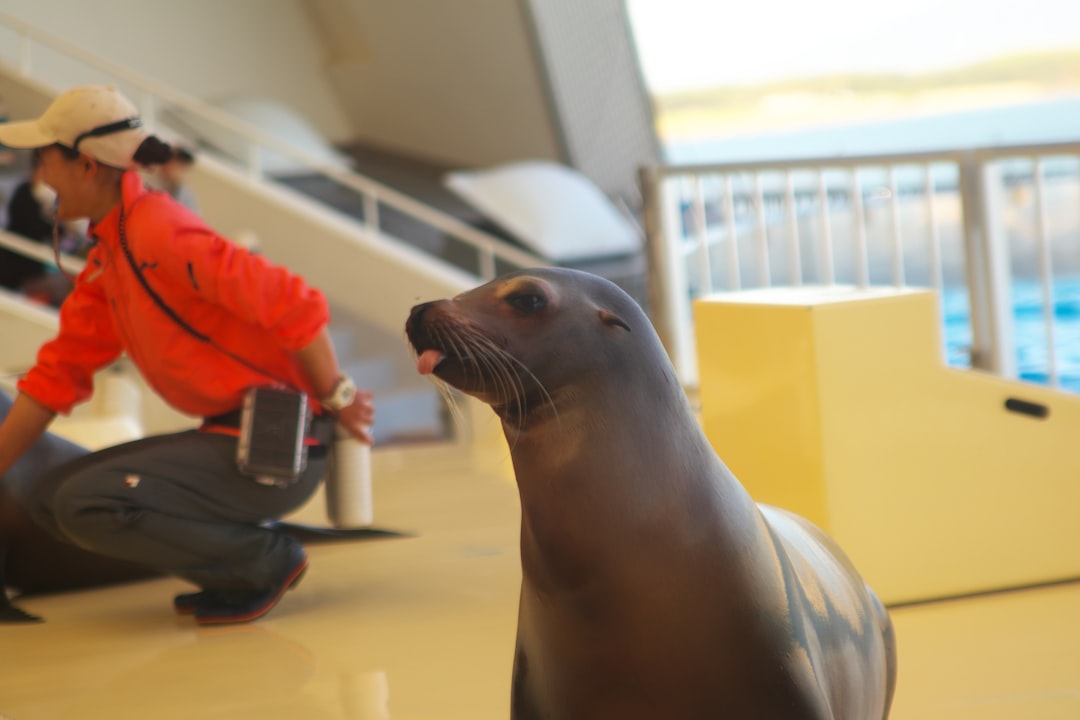 Quality control inspector checking a humidor's seal