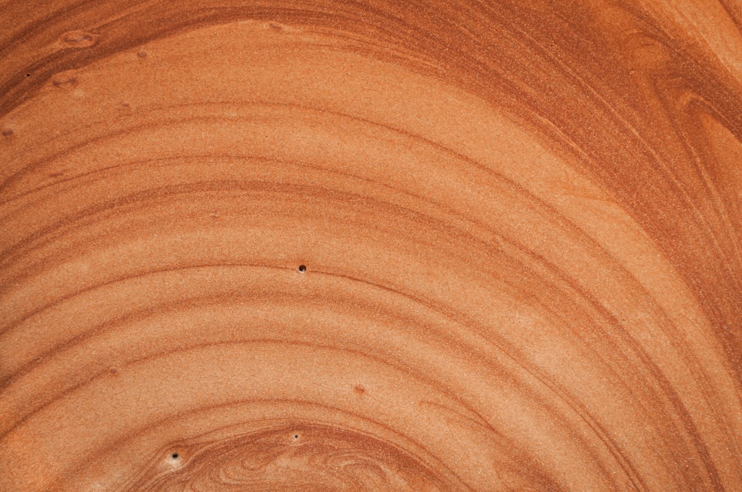 Close-up of Spanish Cedar wood grain