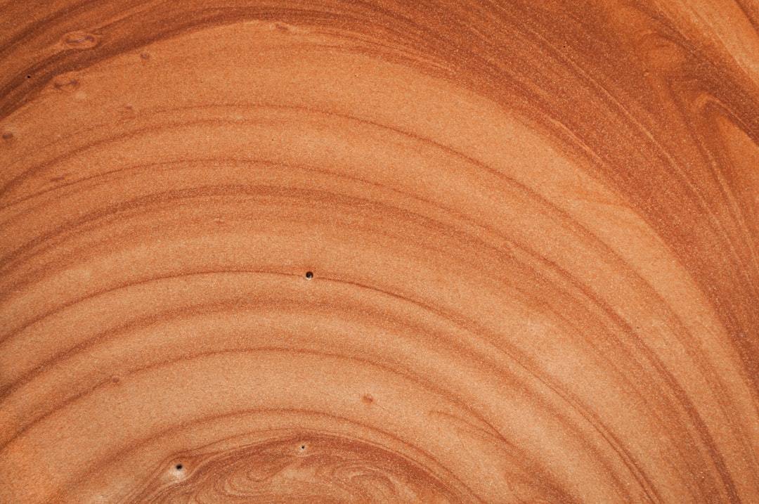 The Unseen Guardian: Why Spanish Cedar is the Heartbeat of a Superior Cigar Humidor