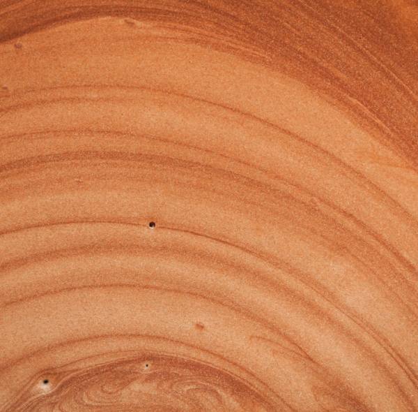 The Unseen Guardian: Why Spanish Cedar is the Heartbeat of a Superior Cigar Humidor