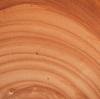 The Unseen Guardian: Why Spanish Cedar is the Heartbeat of a Superior Cigar Humidor