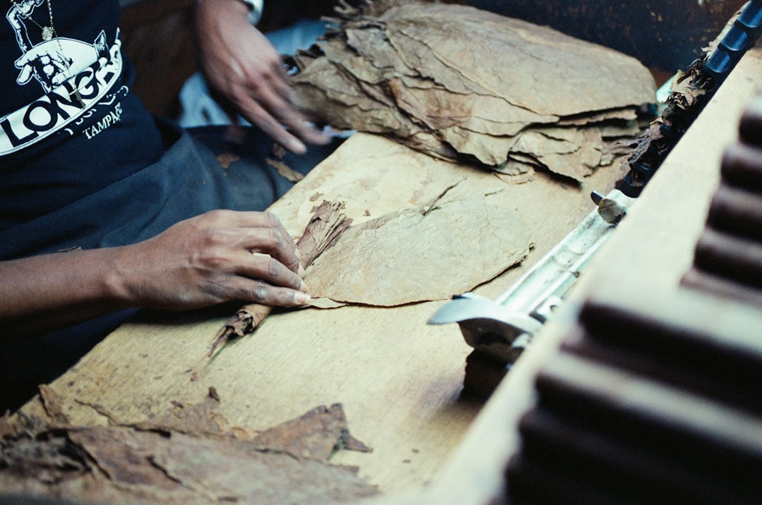 Craftsman assembling a Spanish Cedar humidor