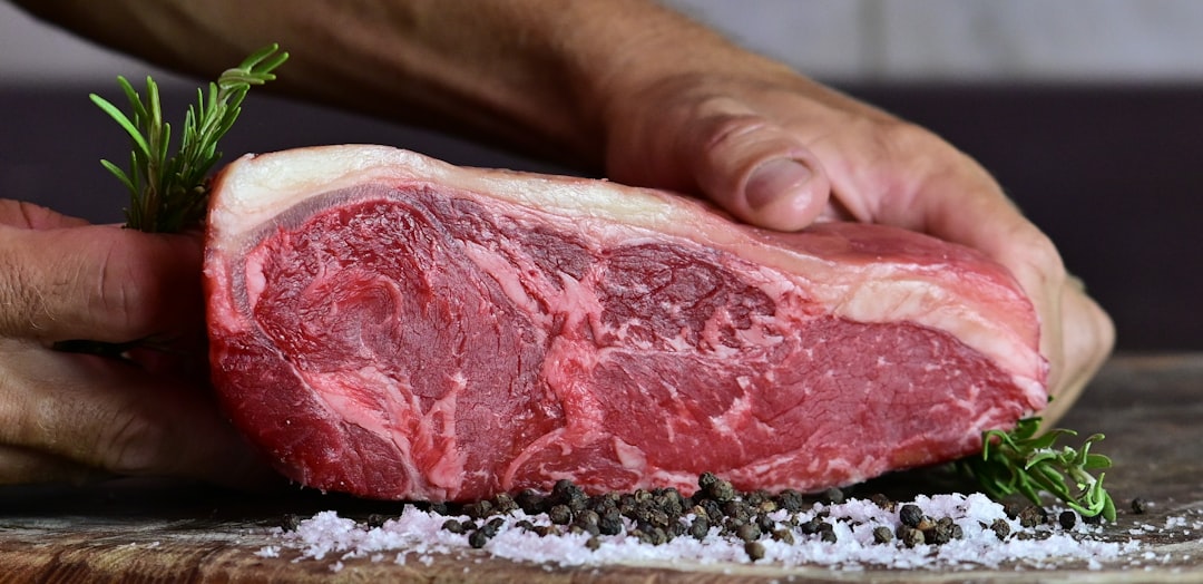 A person carefully placing a large subprimal cut of ribeye onto a rack in a dry ager.