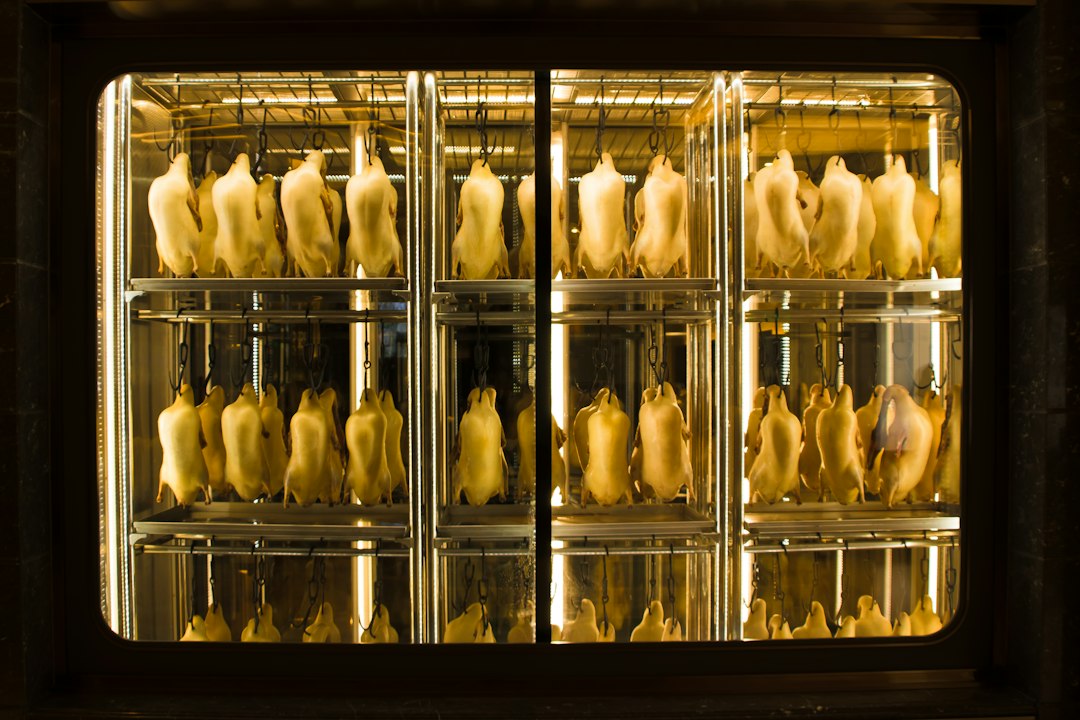 Interior view of a dry aging cabinet showing air circulation fans.