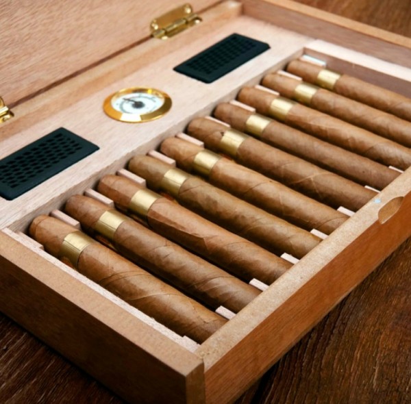 The Ultimate Guide to Home Wine Coolers: Marrying Technology and Terroir