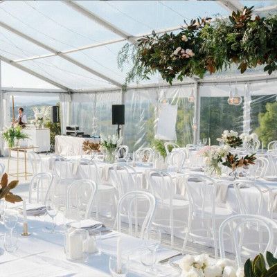 Rental Furniture Banquet Thonet Chair For Wedding Party Event Outdoor Chairs