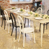 Rental Furniture Banquet Thonet Chair For Wedding Party Event Outdoor Chairs