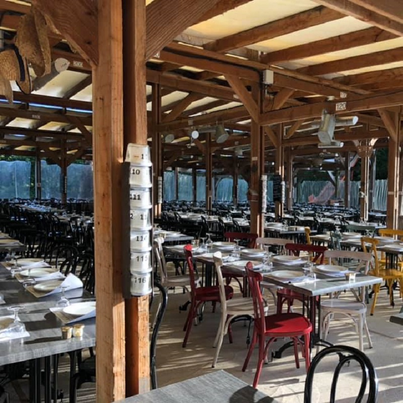 Cross Back Dining Chairs and Thonet Dining Chairs